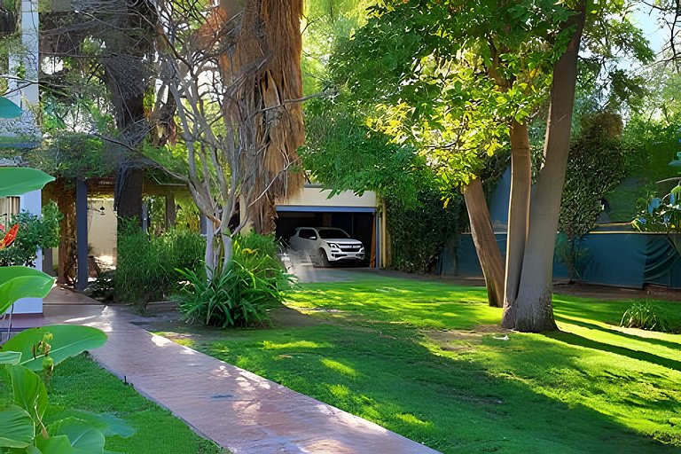 Room with private bathroom and view of a garden.