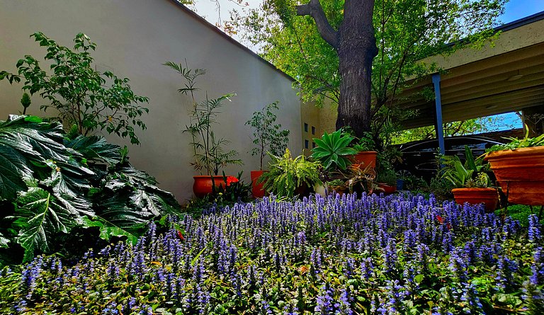 Acogedora habitación con jardín y piscina, a 10 min centro,