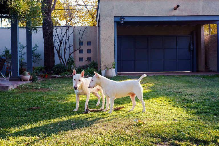 Suíte & Piscina em Jardim Exuberante (A/C, Banheiro Priv., E
